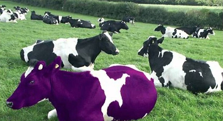 La vaca púrpura – de Seth Godin – book2drink